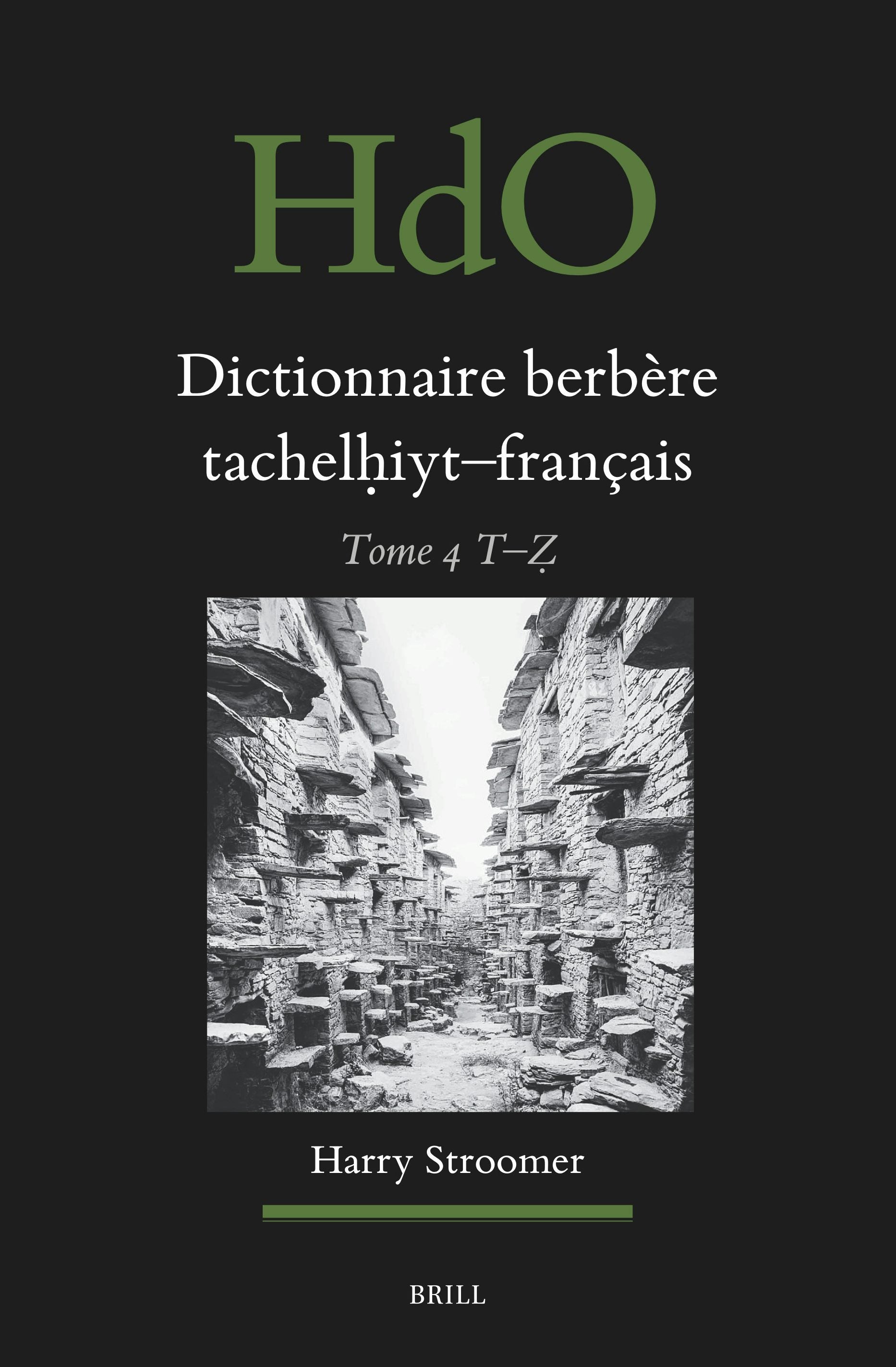 Book cover image for Dictionnaire berbère tachelḥiyt - français ISBN: 9789004700475